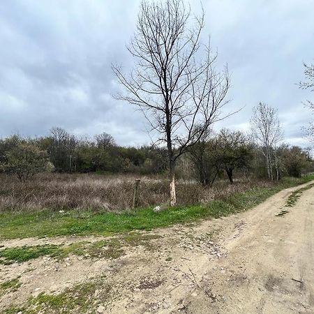 Къмпинг Частен Двор Bulgarian Campsite For Tents Kazanlŭk Exterior foto