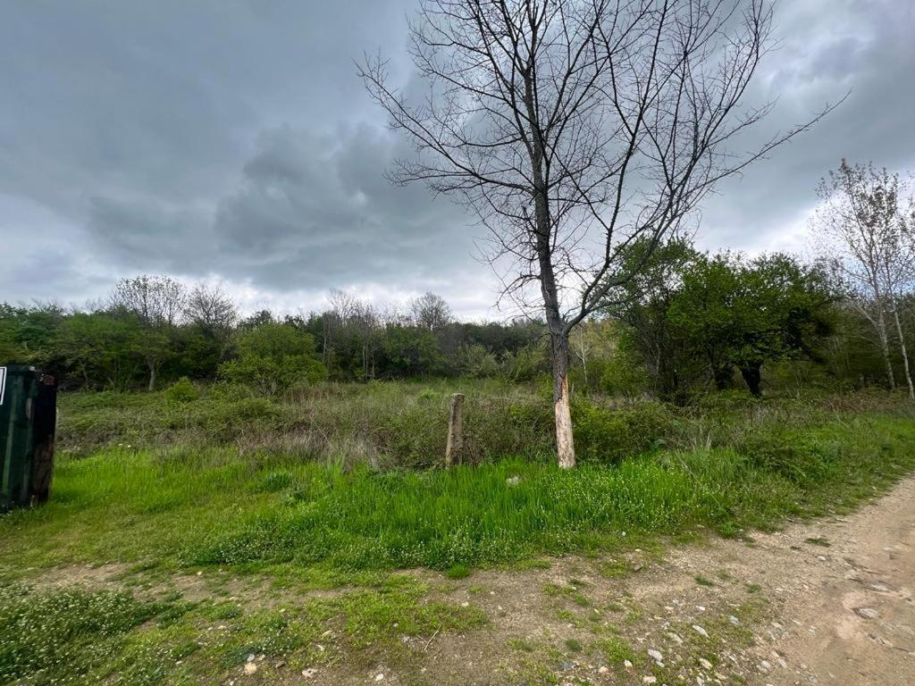 Къмпинг Частен Двор Bulgarian Campsite For Tents Kazanlŭk Exterior foto